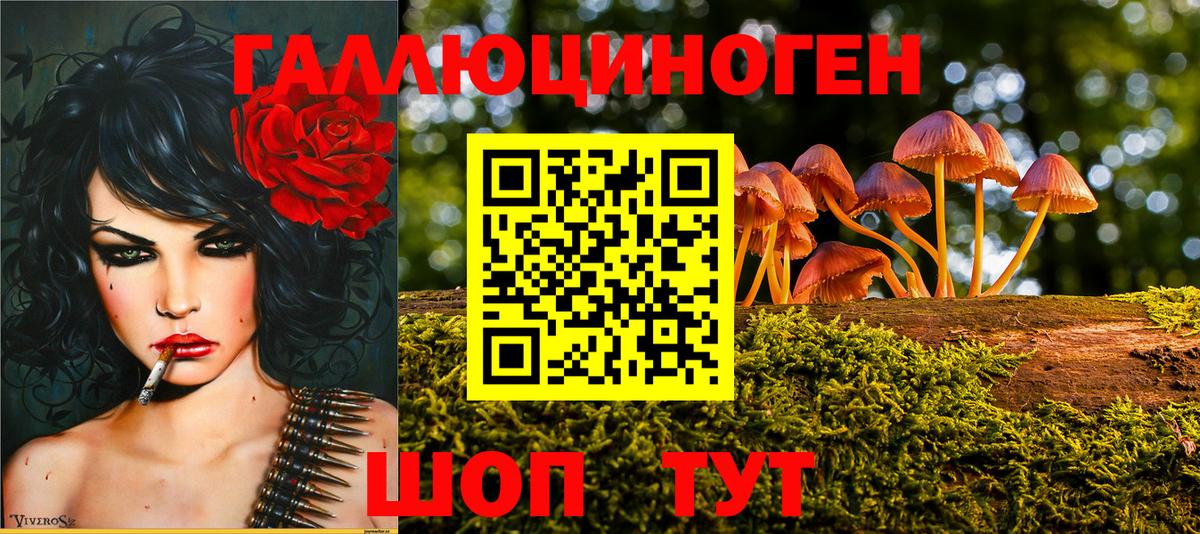 Муром  даркнет сайт  Вход с VPN  Галлюциногенные грибы MAGIC MUSHROOMS 